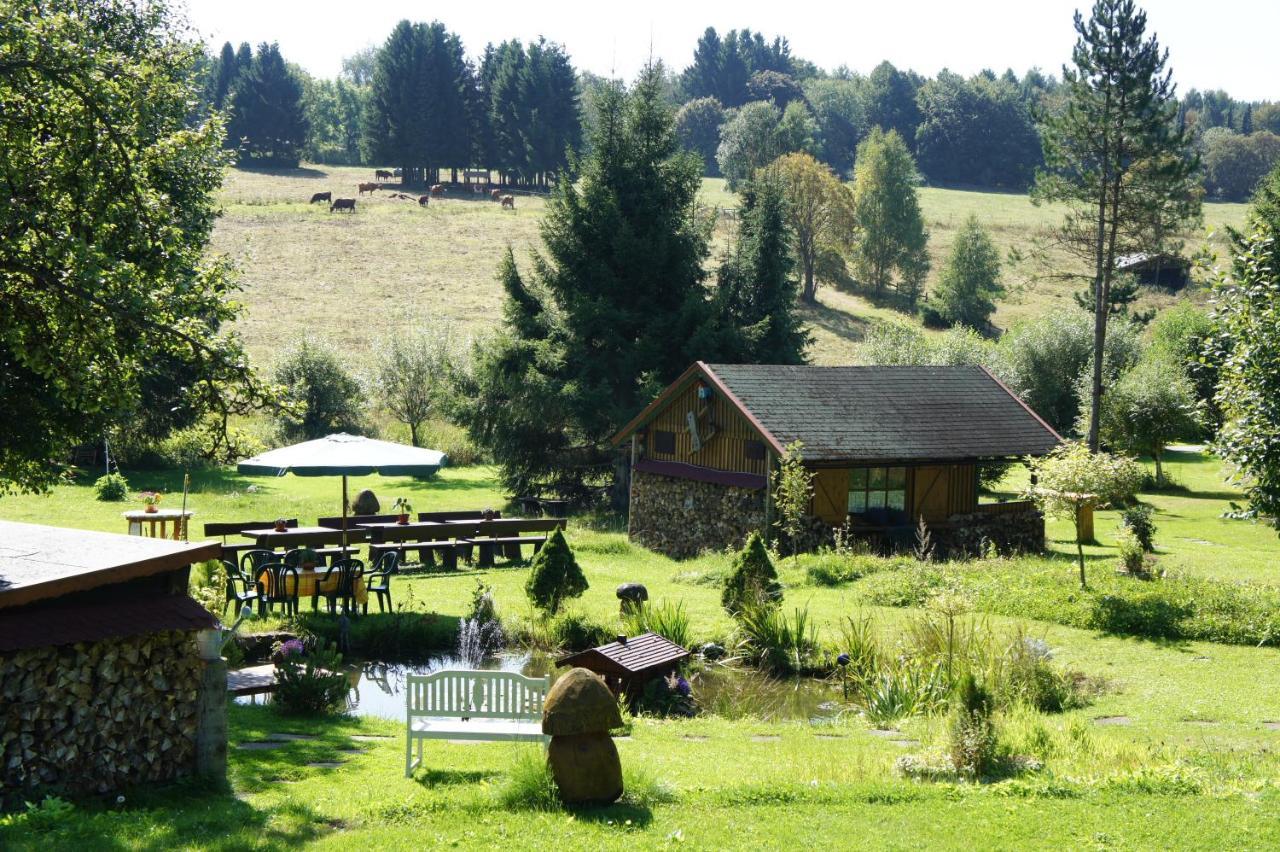 Villa Am Paulsberg Braunlage Extérieur photo