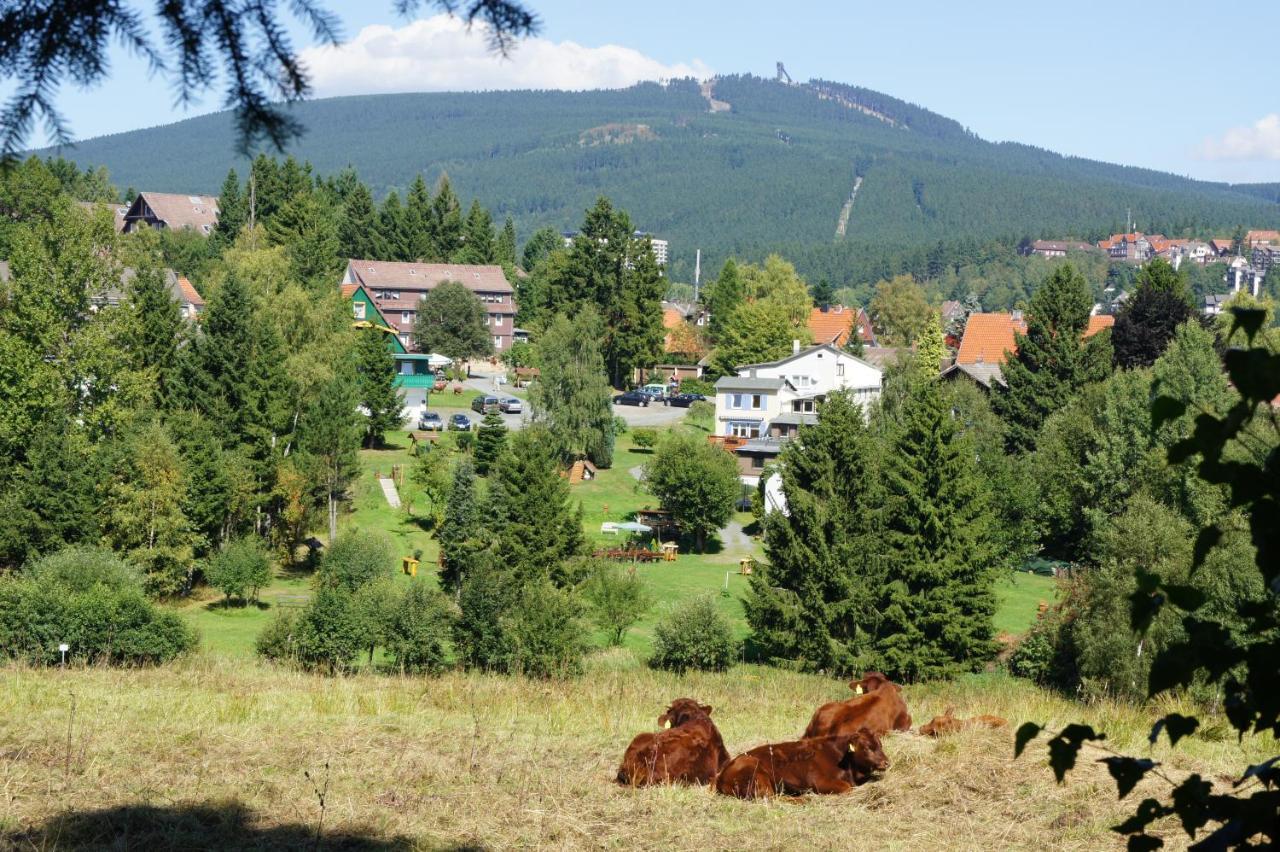 Villa Am Paulsberg Braunlage Extérieur photo